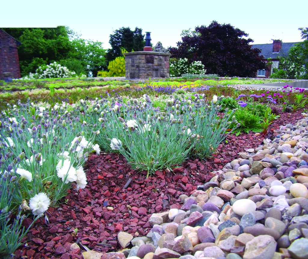 Extensive green roofs, designed, supplied and installed - ABG Geosynthetics